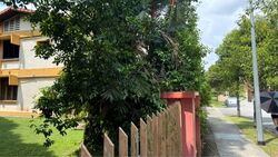 Ang Mo Kio Avenue 4 (D20), Semi-Detached #568365911